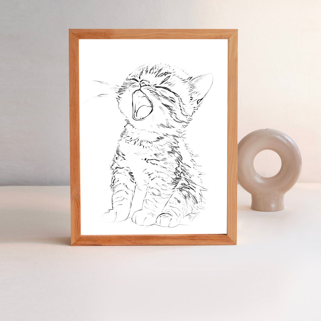 Cozy Kitten Illuminated Frame